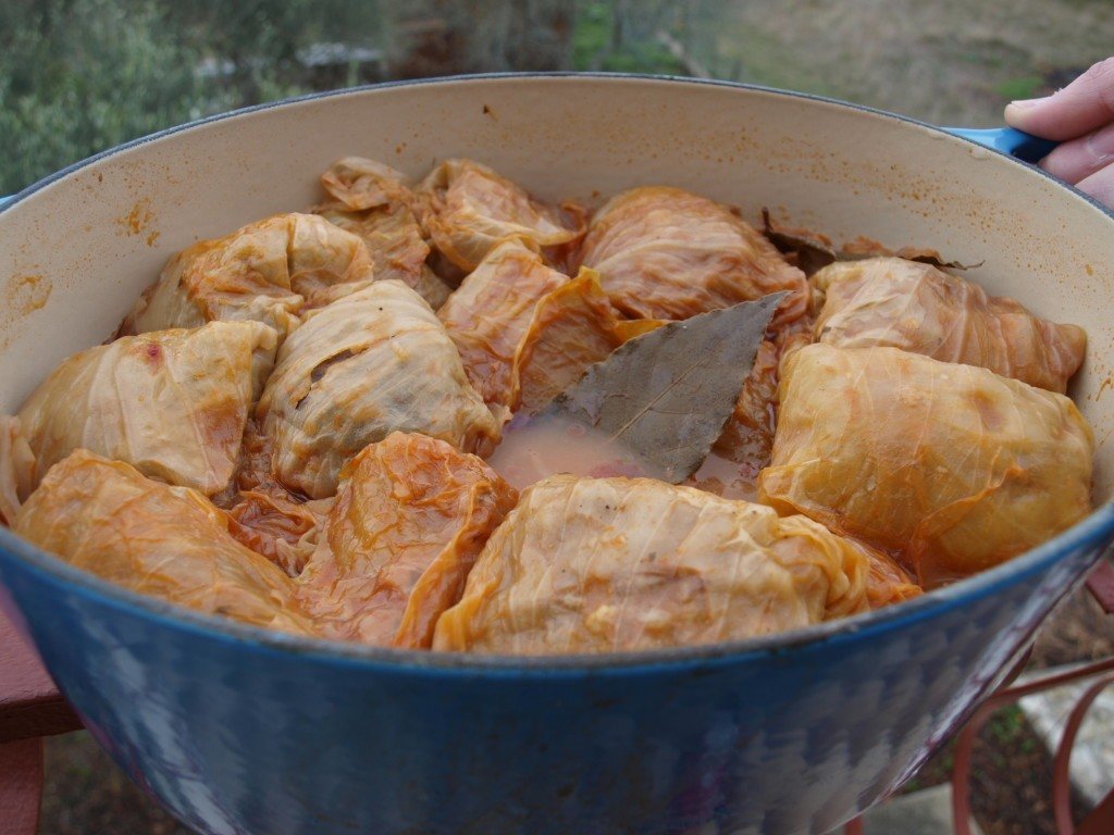 Croatian Sarma Recipe Stuffed Cabbage Rolls