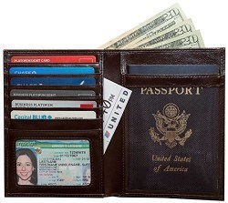 Best Travel Wallet To Protect Your Cash | Chasing the Donkey
