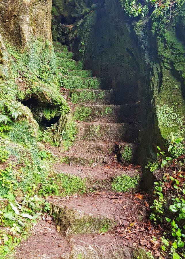 Papuk Nature Park: UNESCO Geopark #VisitSlavonia | Chasing the Donkey