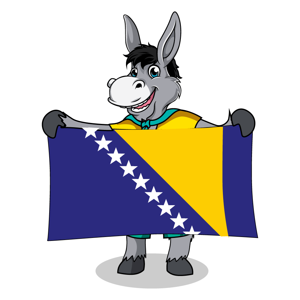 Balkan Flags_Bosnia-Herzegovina 2