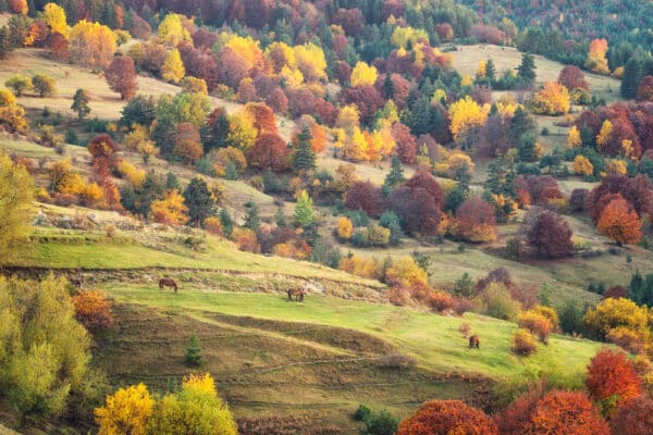 Hiking Bulgaria - The Best Bulgaria Hiking Spots | Chasing the Donkey