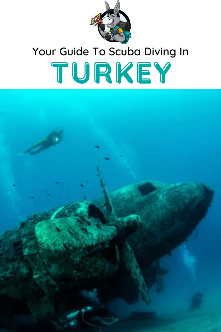 Your Guide To Scuba Diving Turkey | Chasing the Donkey